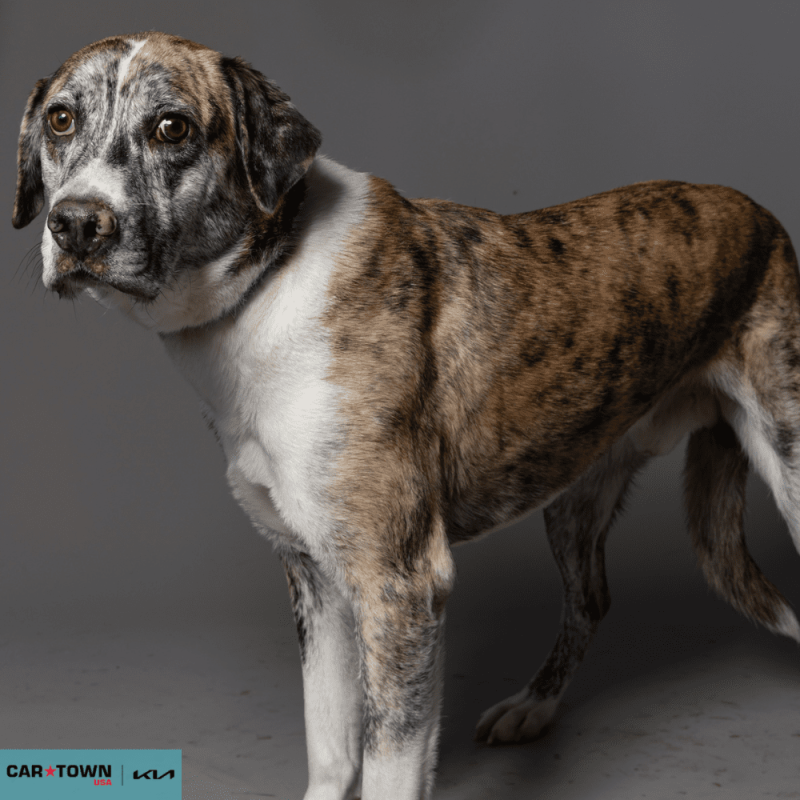 Untitled (1000 x 1000 px) - 2026-03-31T171520.722