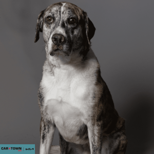 Untitled (1000 x 1000 px) - 2026-03-31T171545.168