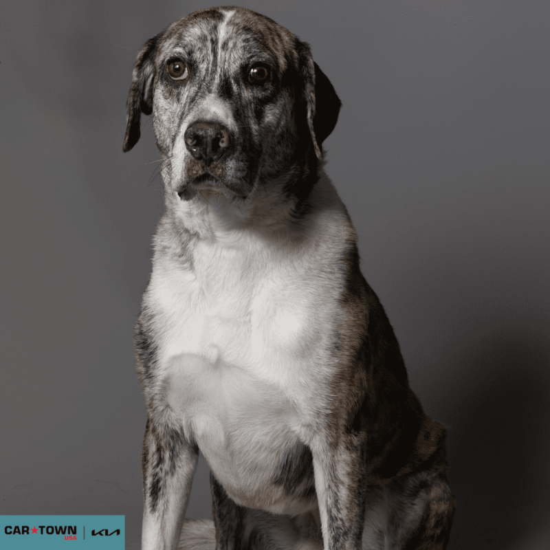 Untitled (1000 x 1000 px) - 2026-03-31T171545.168