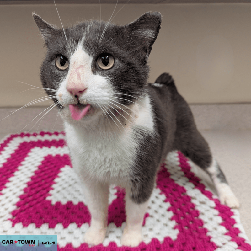 Untitled (1000 x 1000 px) - 2026-04-01T151111.939