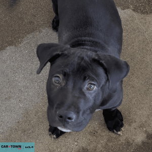 Untitled (1000 x 1000 px) - 2026-04-01T153149.171