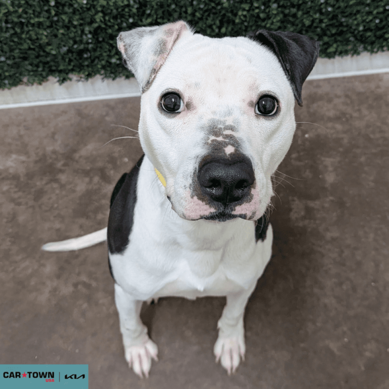 Untitled (1000 x 1000 px) - 2026-04-07T152452.875