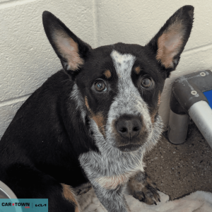 Untitled (1000 x 1000 px) - 2026-04-10T170736.276