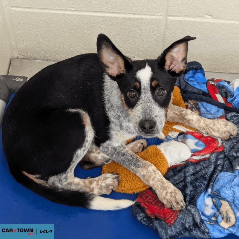 Untitled (1000 x 1000 px) - 2026-04-10T171120.128