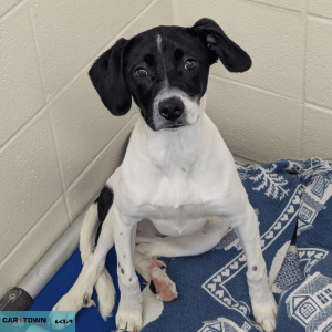 Untitled (1000 x 1000 px) - 2026-04-10T171632.251