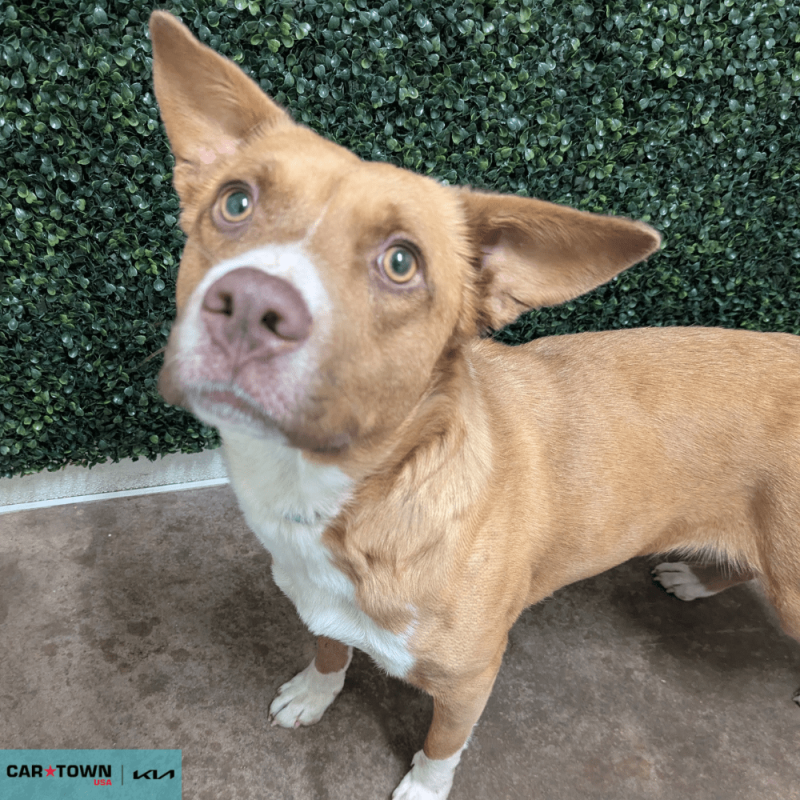 Untitled (1000 x 1000 px) - 2026-04-15T151021.665