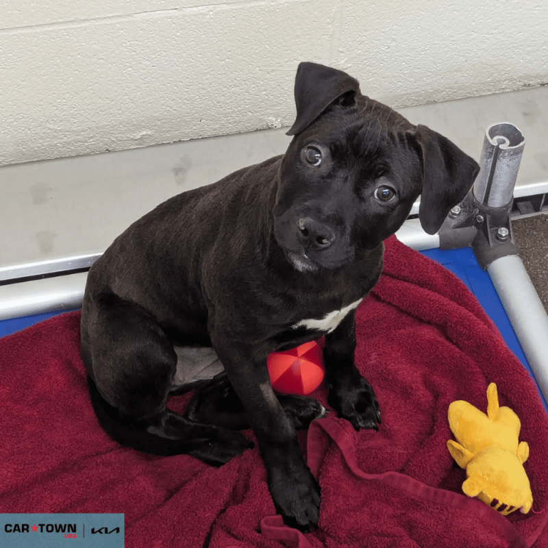 Untitled (1000 x 1000 px) - 2026-04-15T152951.695