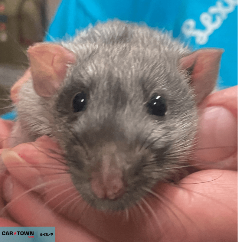 Untitled (1000 x 1000 px) - 2026-04-15T154852.551