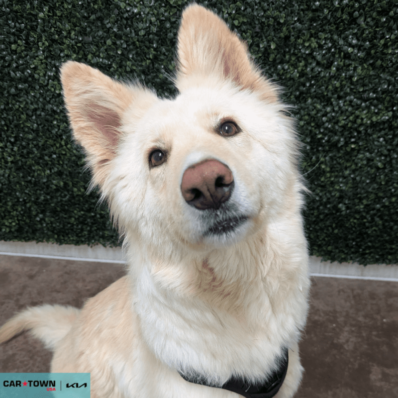 Untitled (1000 x 1000 px) - 2026-04-15T160404.631