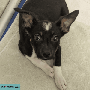 Untitled (1000 x 1000 px) - 2026-04-19T154314.839