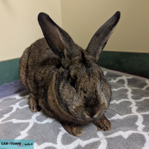 Untitled (1000 x 1000 px) - 2026-04-22T133842.819