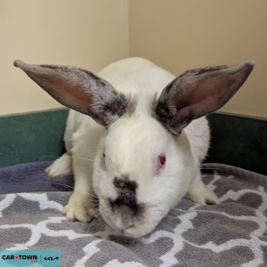 Untitled (1000 x 1000 px) - 2026-04-22T134408.457