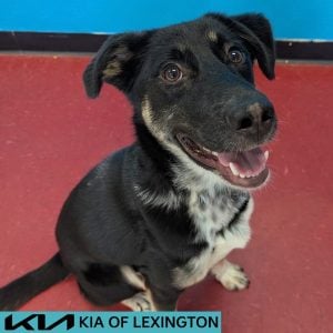 Untitled (1000 x 1000 px) - 2026-09-12T154136.540