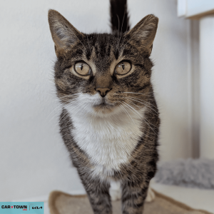 Untitled (1000 x 1000 px) (22)