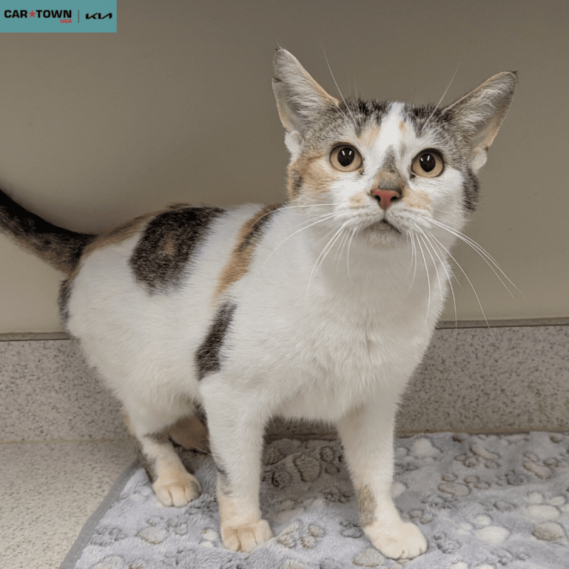 Untitled (1000 x 1000 px) (24)