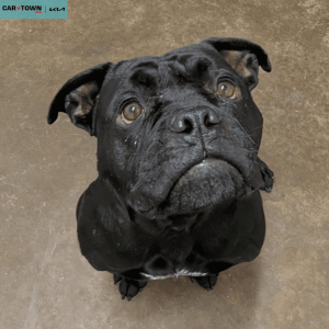 Untitled (1000 x 1000 px) (26)