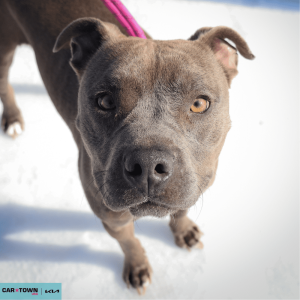 Untitled (1000 x 1000 px) (31)