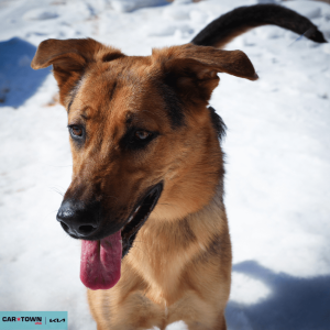 Untitled (1000 x 1000 px) (32)