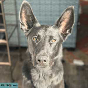 Untitled (1000 x 1000 px) (34)