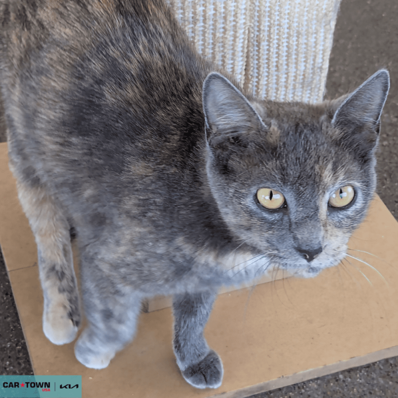 Untitled (1000 x 1000 px) (36)