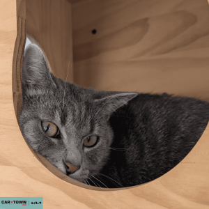 Untitled (1000 x 1000 px) (39)