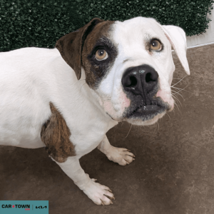 Untitled (1000 x 1000 px) (50)