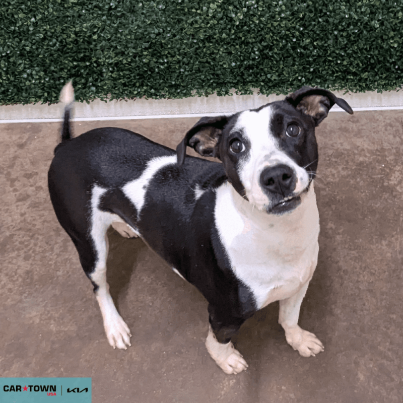 Untitled (1000 x 1000 px) (53)