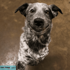 Untitled (1000 x 1000 px) (55)