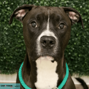 Untitled (1000 x 1000 px) (58)