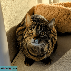 Untitled (1000 x 1000 px) (6)