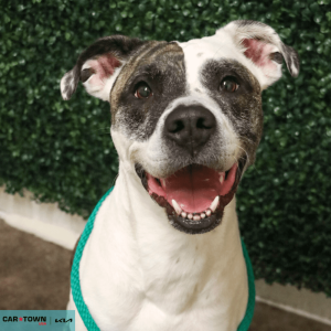 Untitled (1000 x 1000 px) (60)