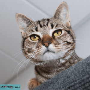 Untitled (1000 x 1000 px) (67)