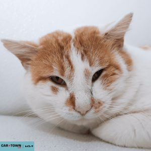 Untitled (1000 x 1000 px) (69)