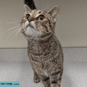 Untitled (1000 x 1000 px) (79)