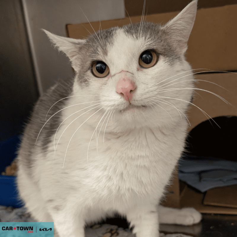 Untitled (1000 x 1000 px) (82)