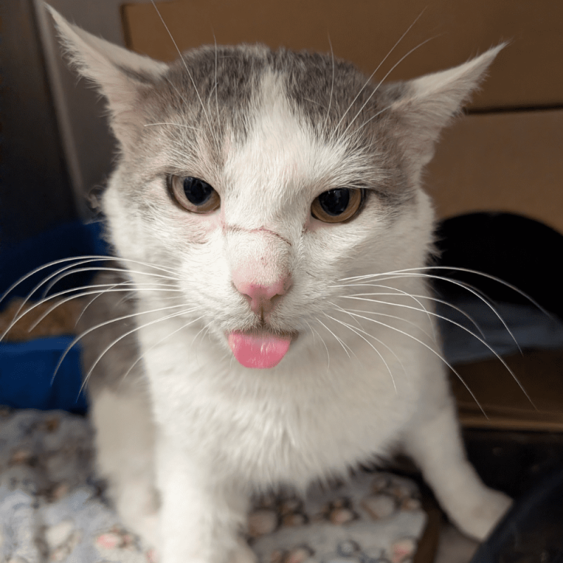 Untitled (1000 x 1000 px) (83)