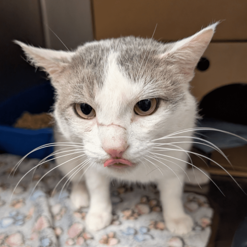 Untitled (1000 x 1000 px) (84)