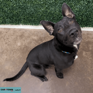 Untitled (1000 x 1000 px) (85)