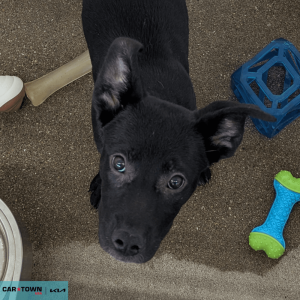 Untitled (1000 x 1000 px) (96)