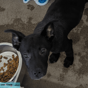 Untitled (1000 x 1000 px) (97)