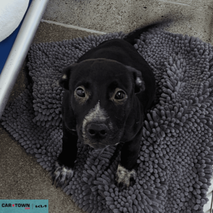 Untitled (1000 x 1000 px) (98)