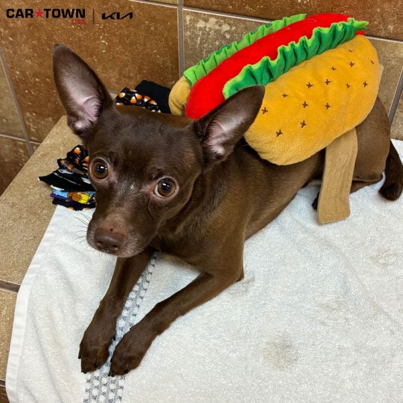 Untitled design (47)