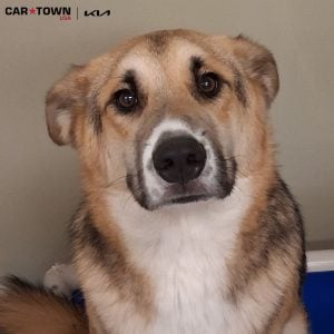 Untitled design (49)