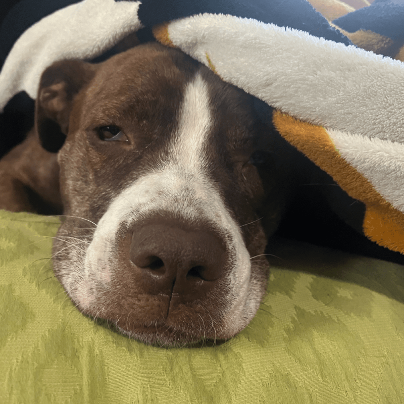 Website 1000x1000 (100)