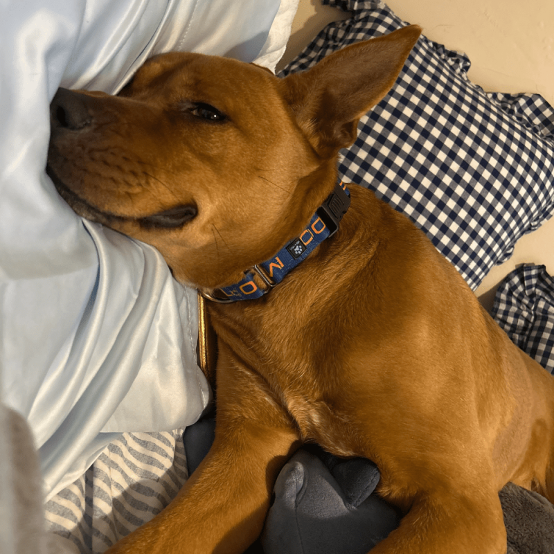 Website 1000x1000 (12)