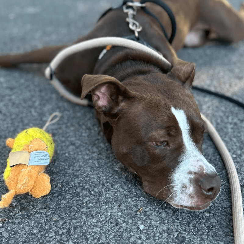 Website 1000x1000 (13)