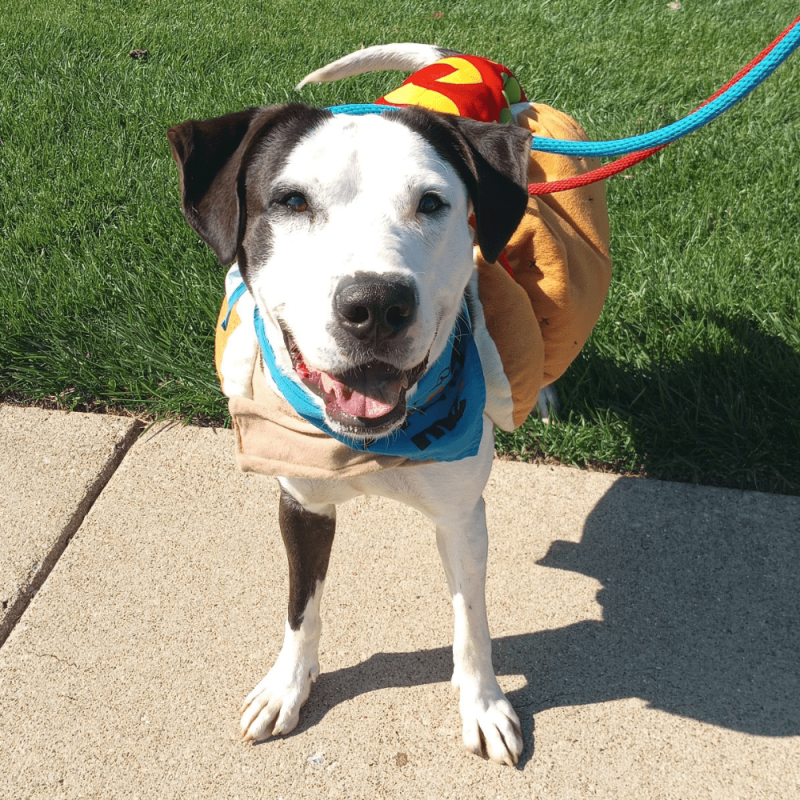 Website 1000x1000 (14)