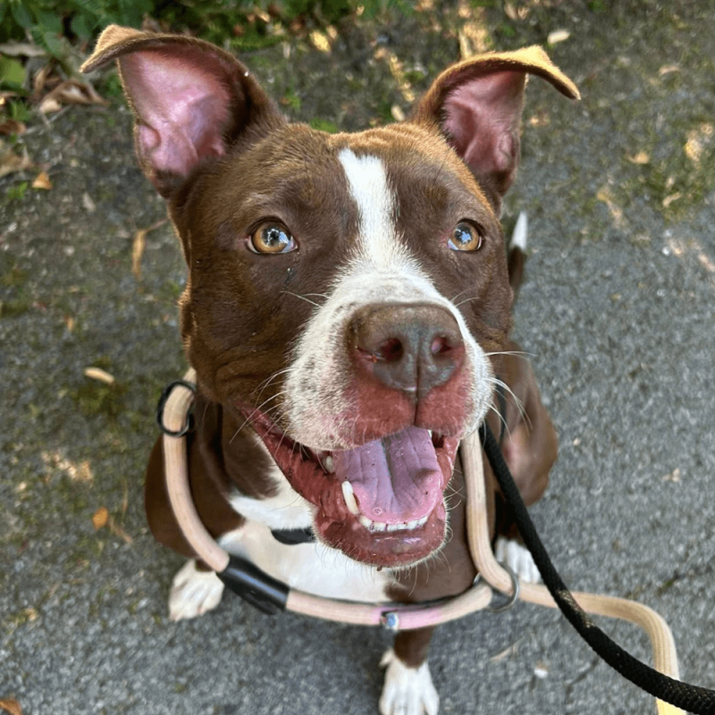 Website 1000x1000 (14)