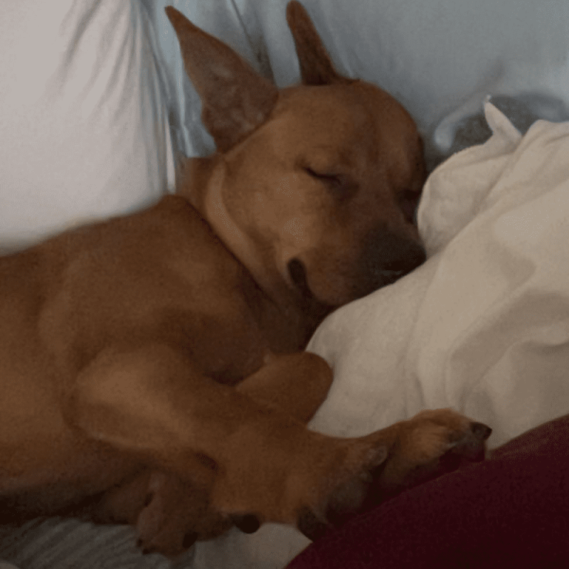 Website 1000x1000 (14)