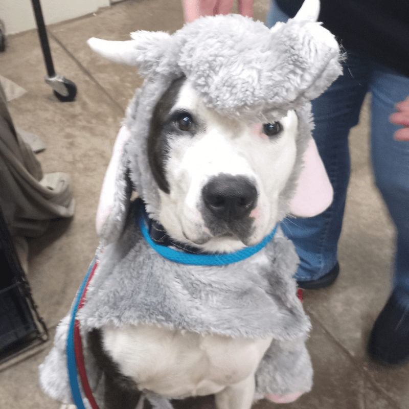 Website 1000x1000 (15)